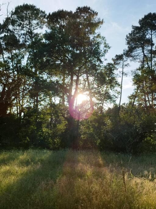 Bienvenue En Sud Gironde Villa Villandraut Exteriör bild